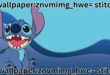 wallpaper:znvmimg_hwe= stitch